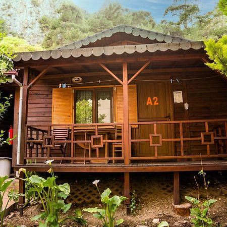 Ikiz Pension Bungalow Çıralı 외부 사진