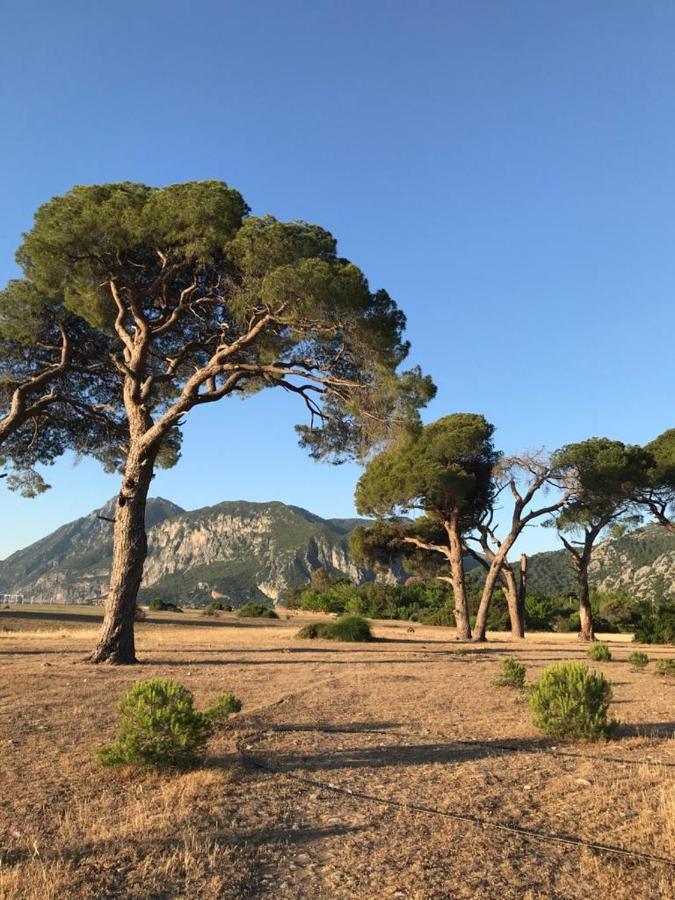 Ikiz Pension Bungalow Çıralı 외부 사진