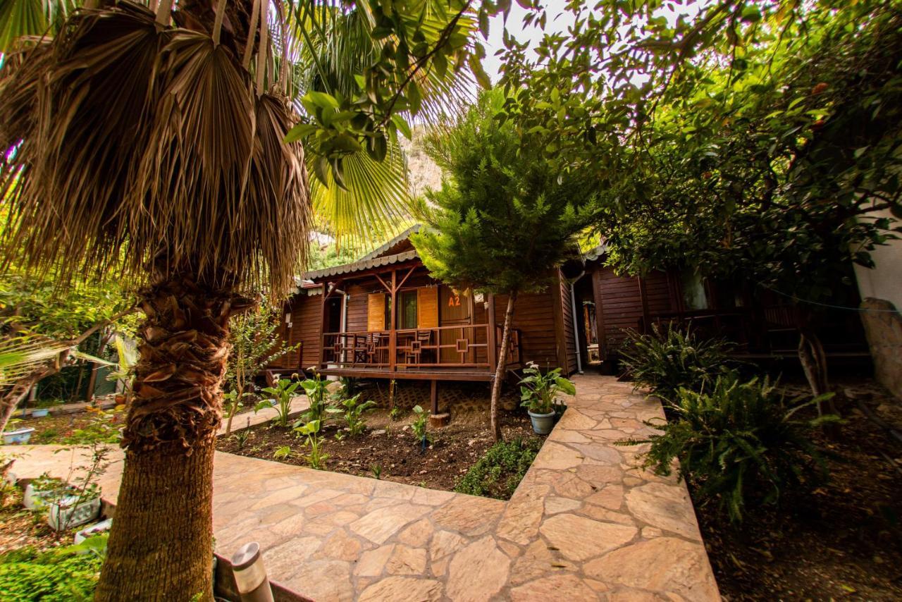 Ikiz Pension Bungalow Çıralı 외부 사진