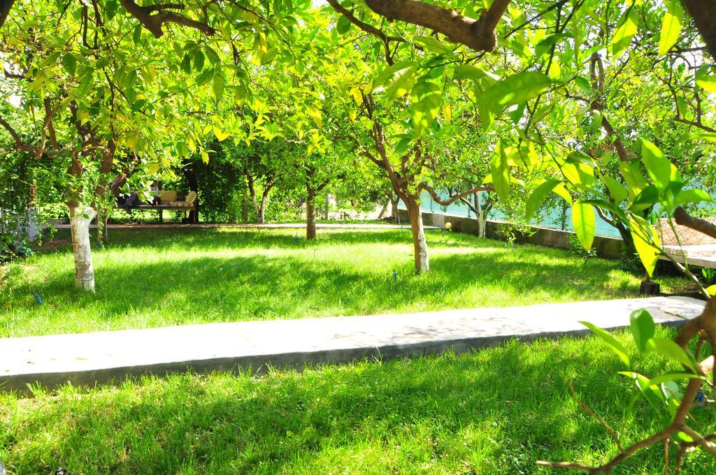 Ikiz Pension Bungalow Çıralı 객실 사진